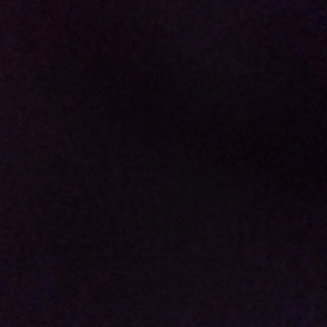 Taís Barbosa de Souza