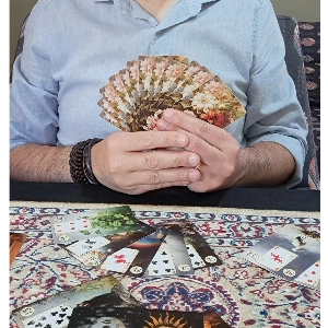 Tiago Vicenzi Martins