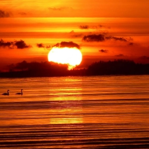 Terapeuta Andreia Marques