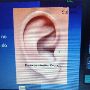 Débora Farias Farias