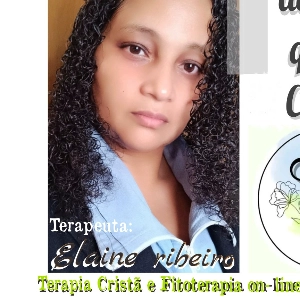 Elaine Ribeiro