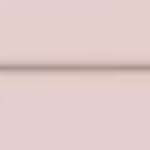 Nelcy Rodrigues Fuhrmann