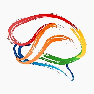 Animi Desenvolvimento