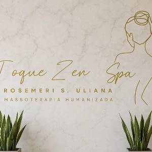 ROSEMERI STEFANELLO ULIANA