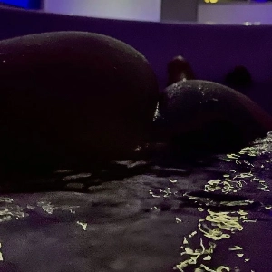 🌸DEPILAÇÃO ÍNTIMA PROMOÇÃO R$85,99🍯&QUALQUER MASSAGEM DE LINGERIE SOMENTE HOJE...MASSAGEM MÚTUA🔥NURU💕TÂNTRICA✨️BANHEIRA DE OFURÔ🛁🍃pós-banho cortesia massagem tântrica ou relaxante🌸