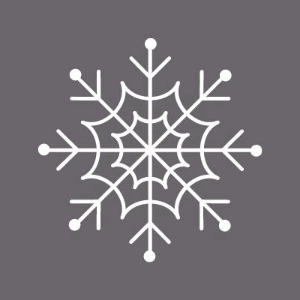 Jheniffer Almeida Machado