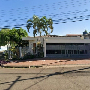 Aline Terapeuta